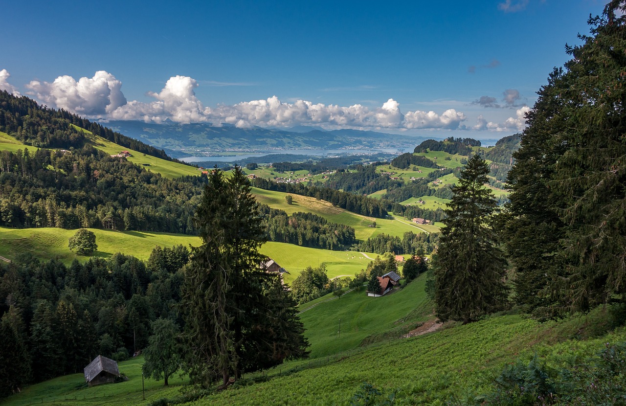 pre-alps, switzerland, nature-4626180.jpg